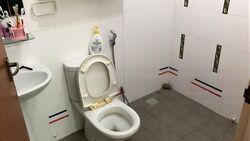Blk 421 Casa Clementi (Clementi), HDB 3 Rooms #463189691